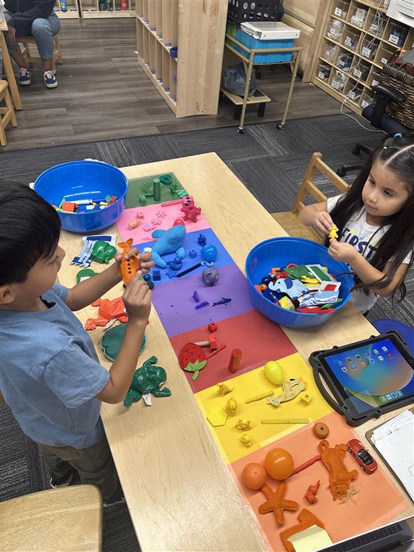 Two students engaging in a sorting items of different colors  table top activity. 